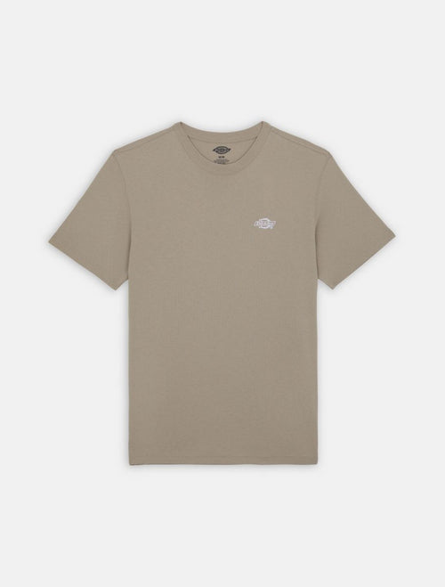DICKIES DK0A4YAISS01