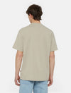 DICKIES DK0A4YAISS01
