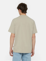 DICKIES DK0A4YAISS01