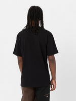 DICKIES DK0A4YFCBLK1