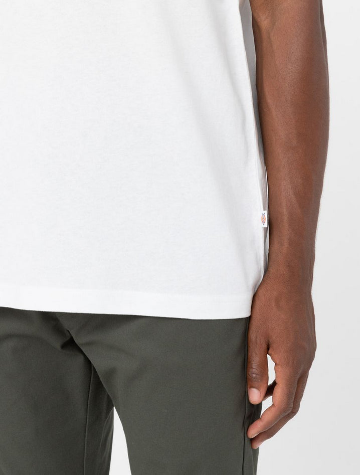 DICKIES DK0A4YFCWHX1