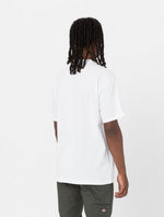DICKIES DK0A4YFCWHX1