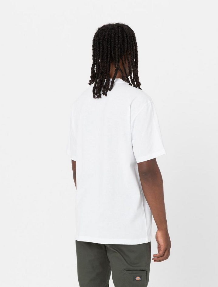 DICKIES DK0A4YFCWHX1
