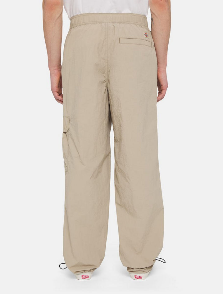 DICKIES DK0A4YLXSS01