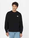 DICKIES DK0A4YLZBLK1