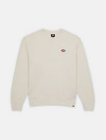 DICKIES DK0A4YLZECR1