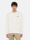 DICKIES DK0A4YLZECR1