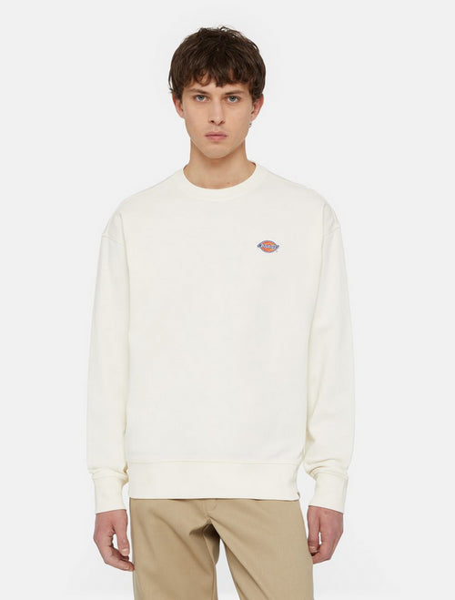 DICKIES DK0A4YLZECR1