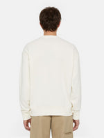 DICKIES DK0A4YLZECR1