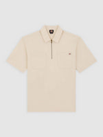 DICKIES DK0A4Z7TF901