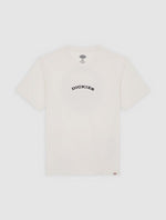 DICKIES DK0A4Z8PC481
