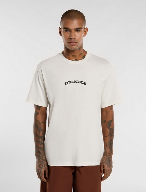 DICKIES DK0A4Z8PC481