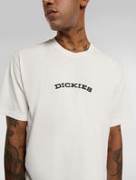 DICKIES DK0A4Z8PC481