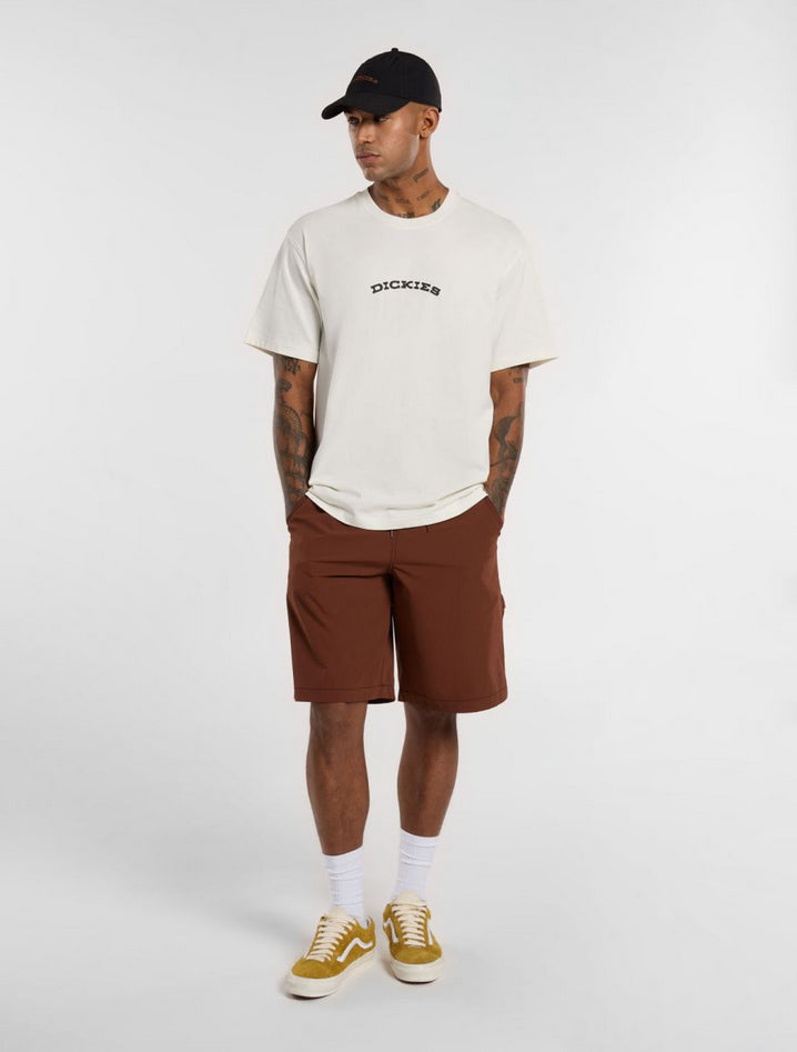 DICKIES DK0A4Z8PC481
