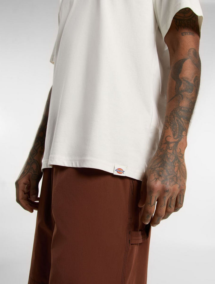 DICKIES DK0A4Z8PC481