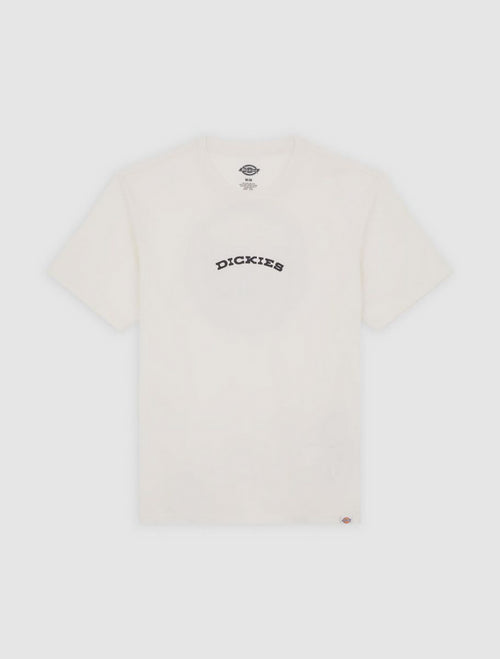 DICKIES DK0A4Z8PC481