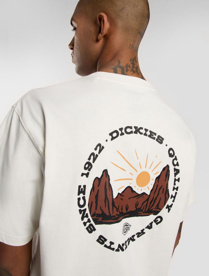 DICKIES DK0A4Z8PC481