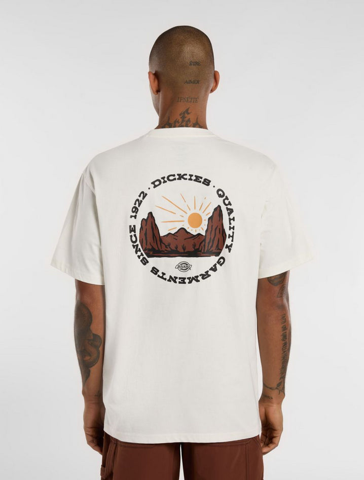 DICKIES DK0A4Z8PC481