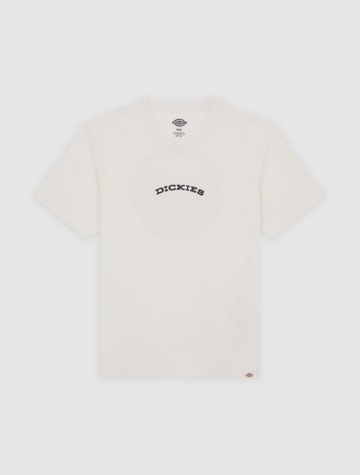 DICKIES DK0A4Z8PC481