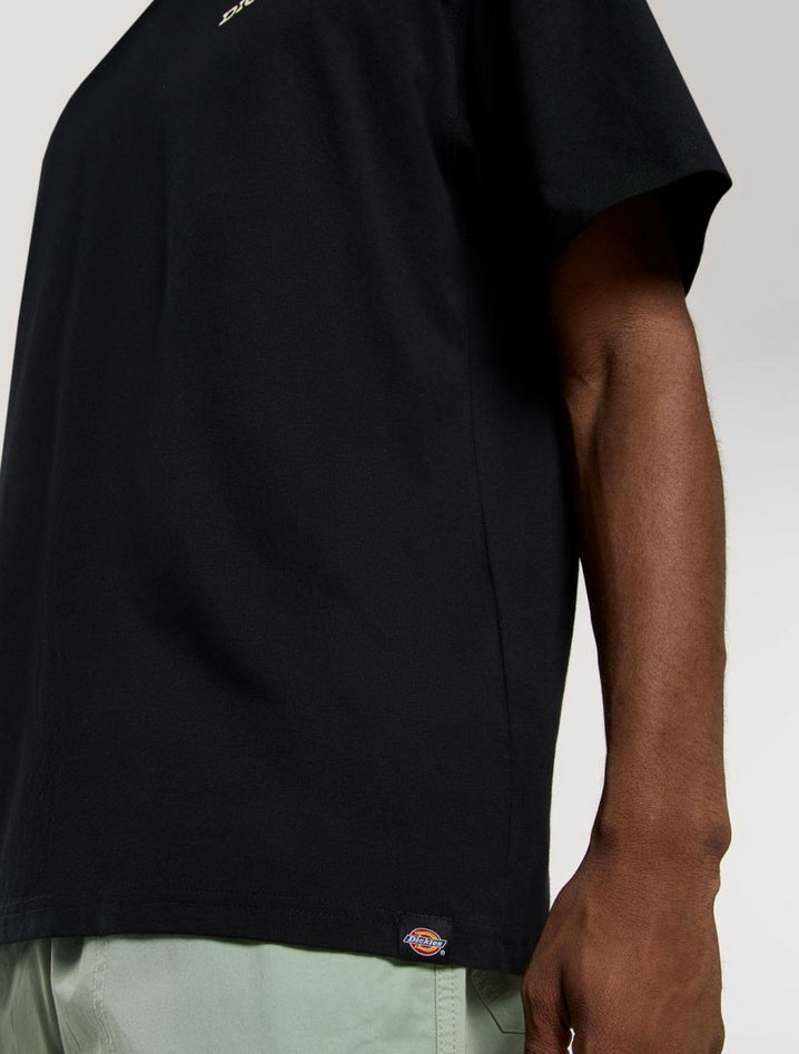 DICKIES DK0A4Z8VBLK1