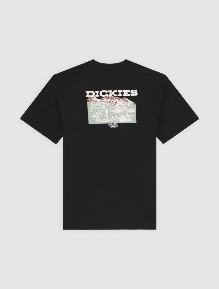 DICKIES DK0A4Z8VBLK1