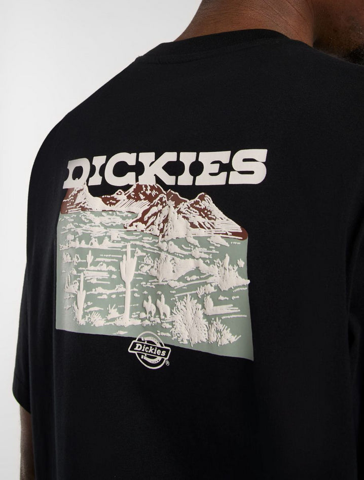 DICKIES DK0A4Z8VBLK1