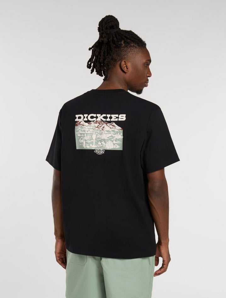 DICKIES DK0A4Z8VBLK1