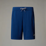 THE NORTH FACE NF0A86U4D1R1