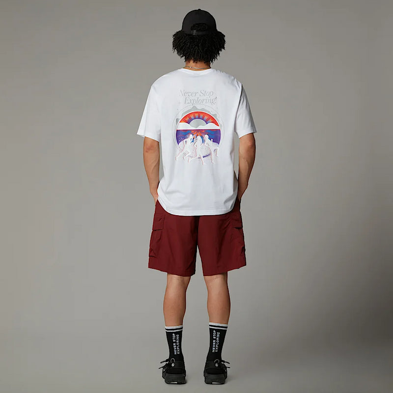 THE NORTH FACE NF0A8C3AFN41