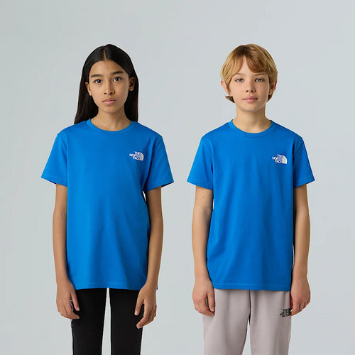 THE NORTH FACE NF0A8DRPT4S1