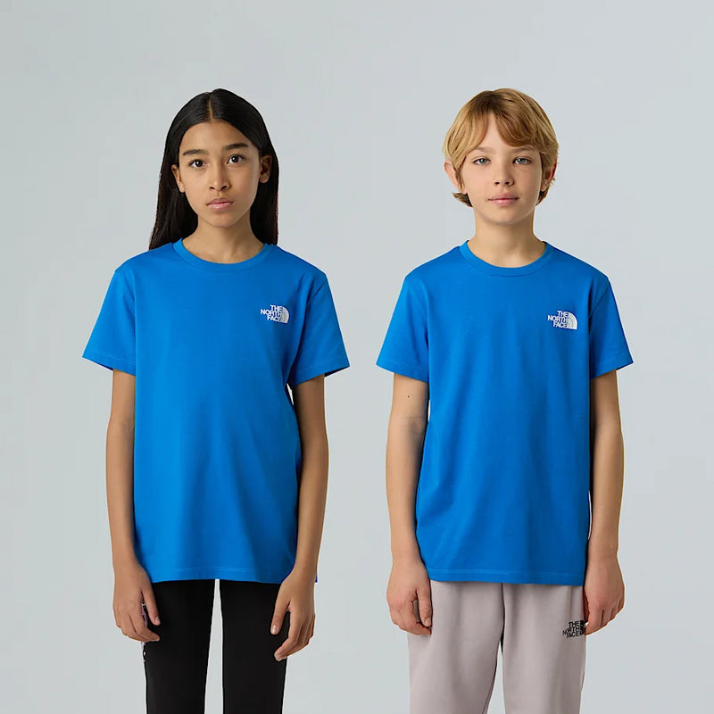 THE NORTH FACE NF0A8DRPT4S1