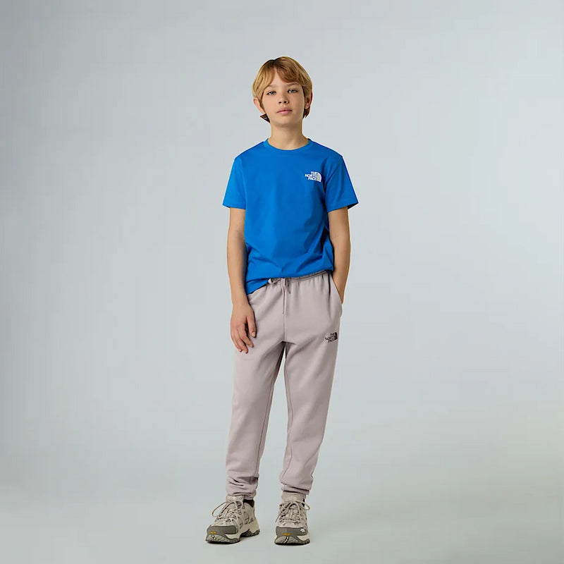 THE NORTH FACE NF0A8DRPT4S1