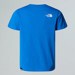 THE NORTH FACE NF0A8DRPT4S1