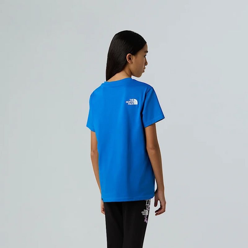 THE NORTH FACE NF0A8DRPT4S1