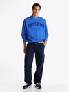TOMMY HILFIGER DM0DM20293C1G