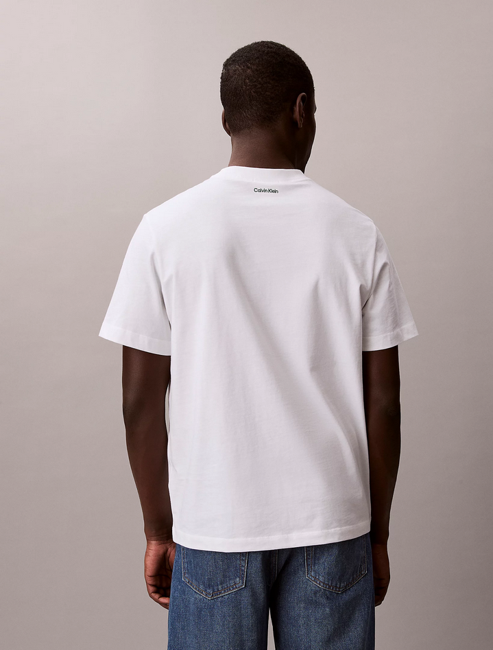 CALVIN KLEIN LV04RF294GYAF