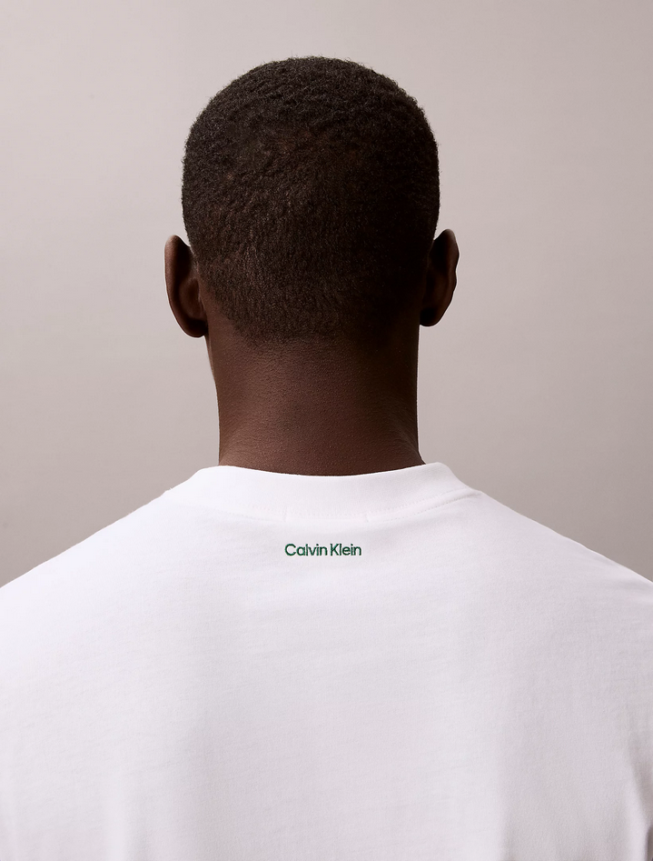 CALVIN KLEIN LV04RF294GYAF