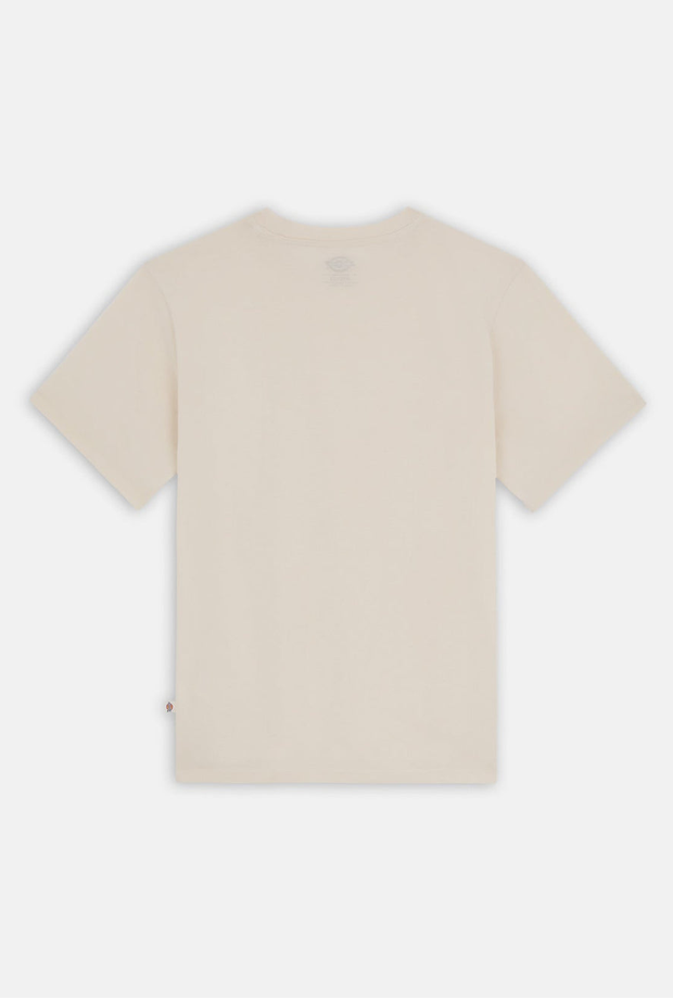 DICKIES DK0A4XDBF901