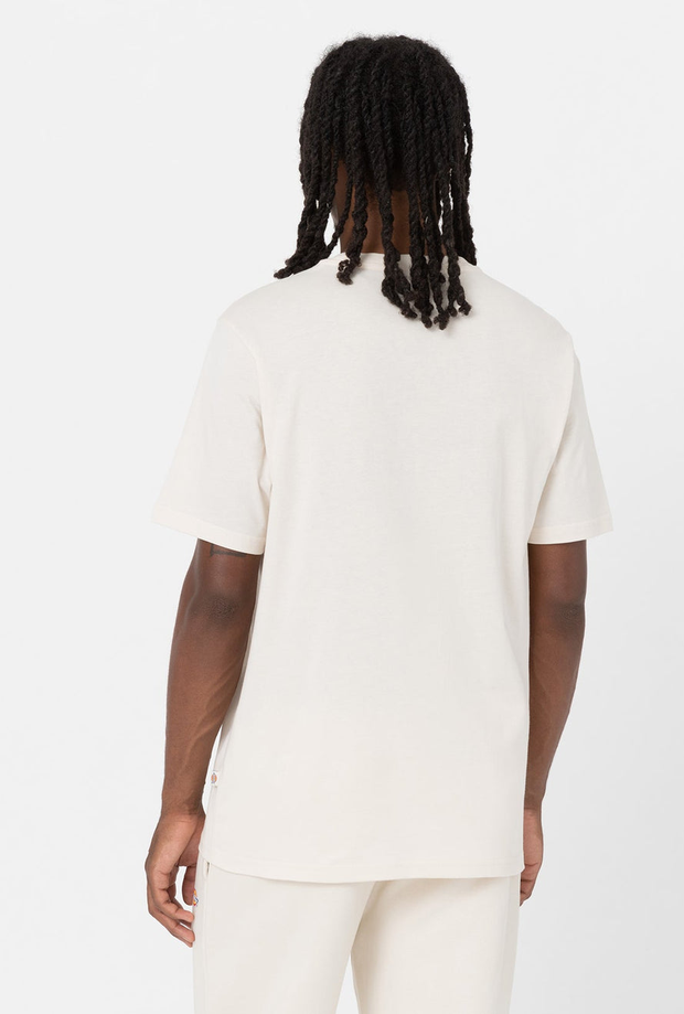 DICKIES DK0A4XDBF901
