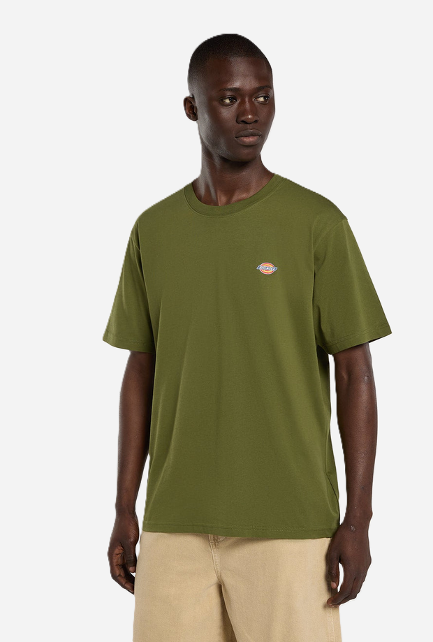 DICKIES DK0A4XDBK721