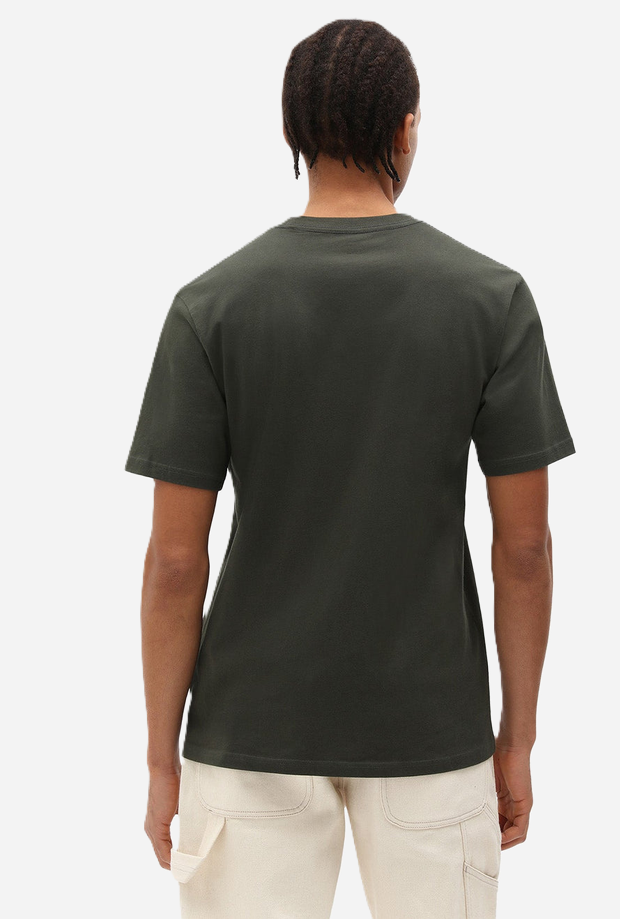 DICKIES DK0A4XDBOGX1