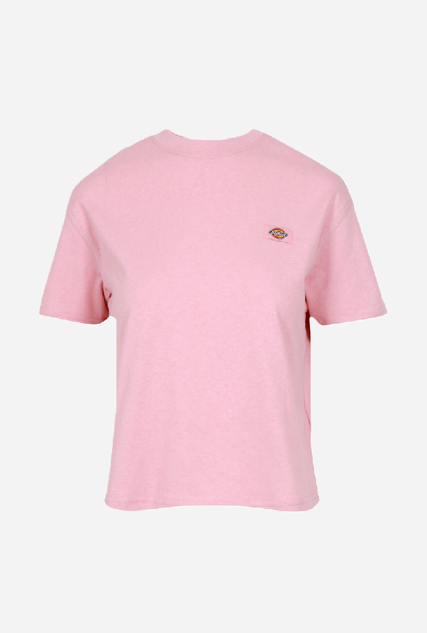 DICKIES DK0A4Y8LL471