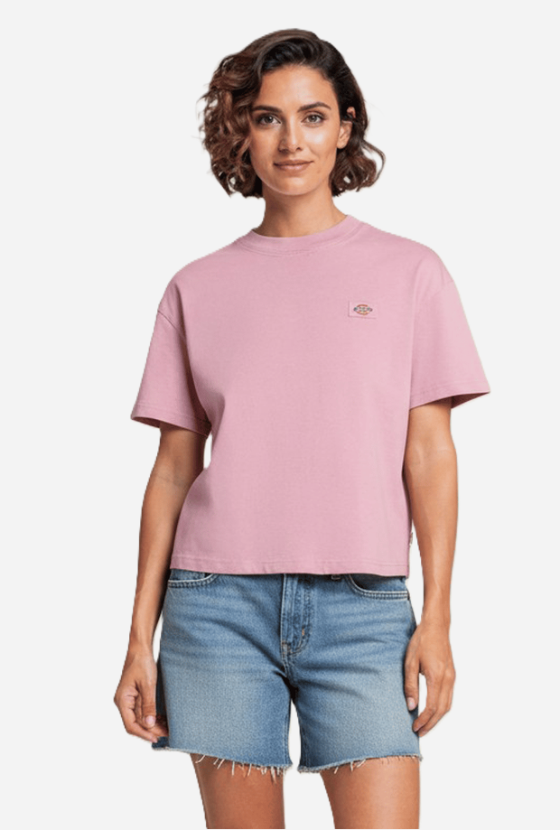 DICKIES DK0A4Y8LL471