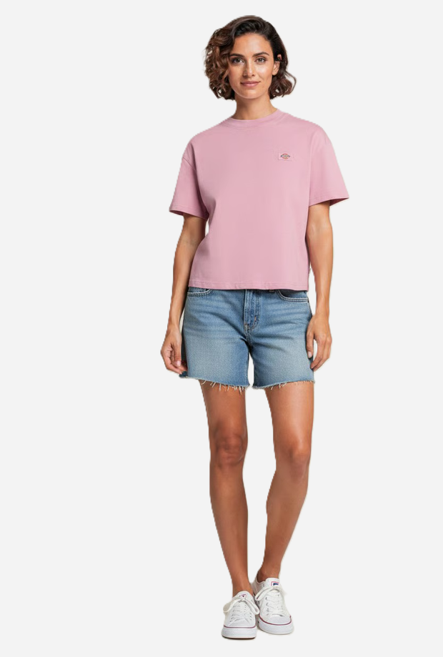 DICKIES DK0A4Y8LL471
