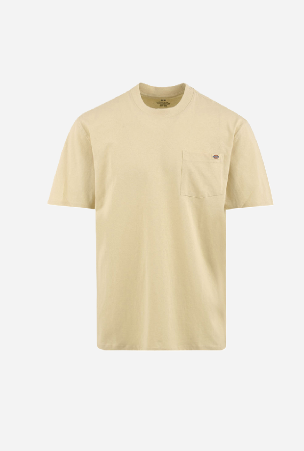 DICKIES DK0A4YFCL171