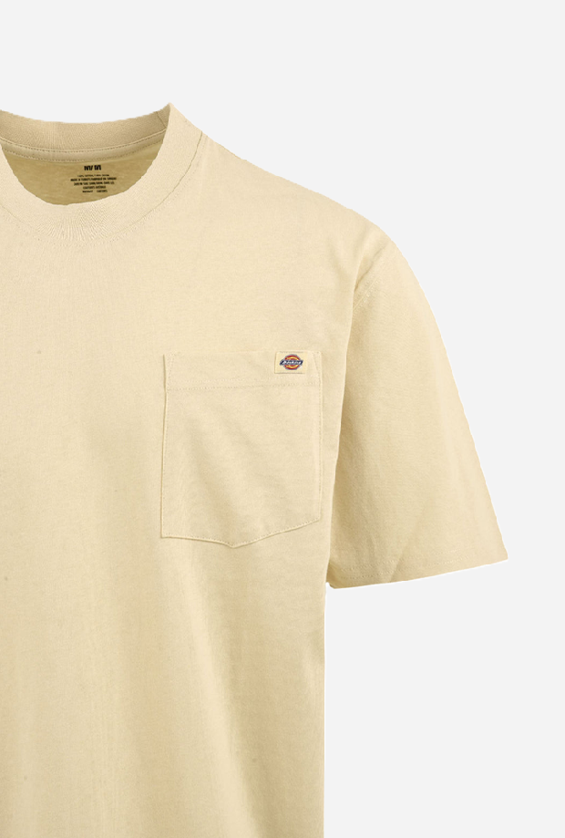 DICKIES DK0A4YFCL171