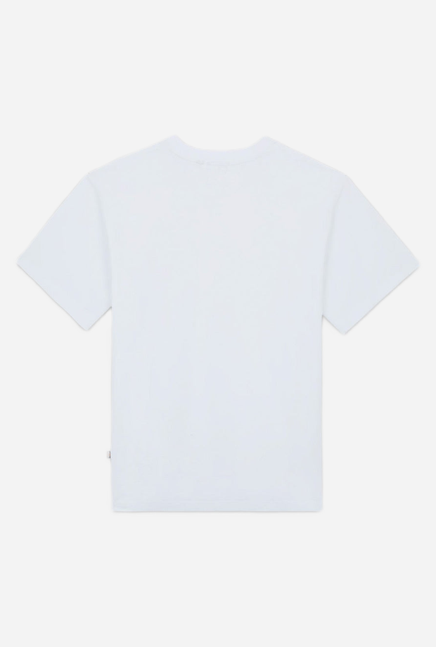 DICKIES DK0A4YFCWHX1