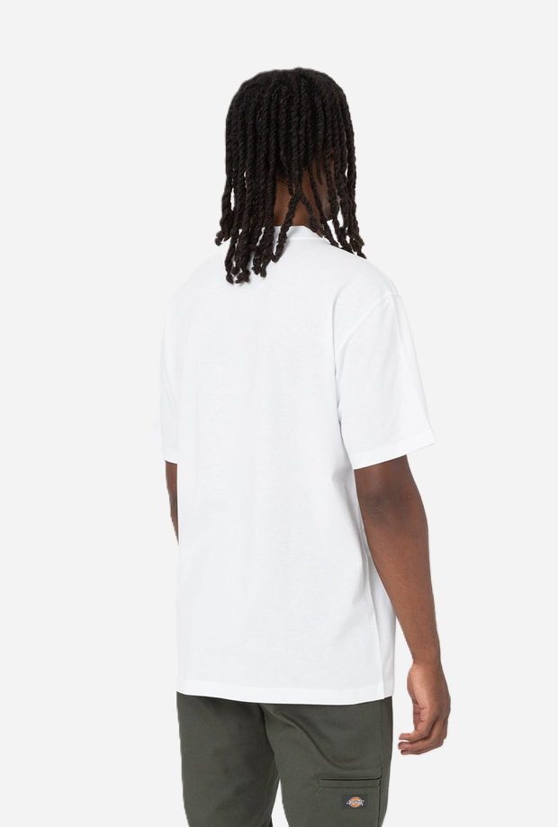 DICKIES DK0A4YFCWHX1