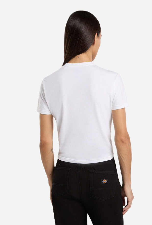 DICKIES DK0A4ZAO0WH1