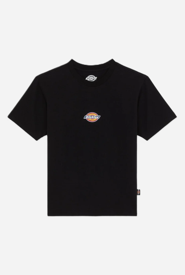 DICKIES DK0A4ZAOBLK1